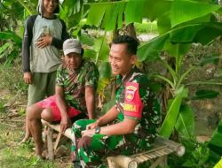 Babinsa Berkomunikasi dengan Petani di Kebun Pisang, Dukung Ketahanan Pangan