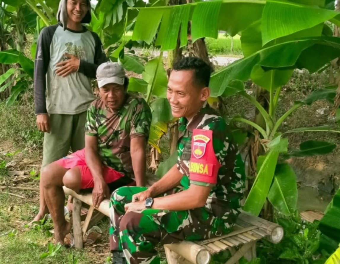 Babinsa Berkomunikasi dengan Petani di Kebun Pisang, Dukung Ketahanan Pangan