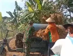 Wujudkan Swasembada Pangan, Bantu Petani Panen Padi