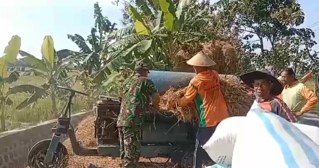 Wujudkan Swasembada Pangan, Bantu Petani Panen Padi