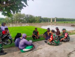 Sertu Eko Dekati Petani, Tanyakan Hasil Panen dan Berikan Solusi