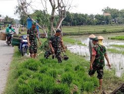 Babinsa Berikan Pendampingan, Bantu Petani Siapkan Bibit Padi Untuk Tanam