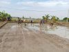 Babinsa Bantu dan Semangati Petani Tanam Padi
