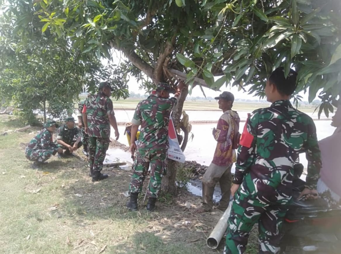 Thoyibi Imbau Warga Waspadai Bahaya Pohon Tumbang Saat Musim Hujan Tiba