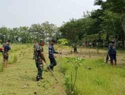 Babinsa Gotong Royong, Taman Kelurahan Kroyo Semakin Asri