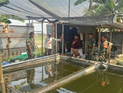 Melalui Komsos, Babinsa Kunjungi Peternak Ikan Lele