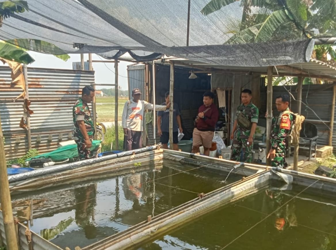 Melalui Komsos, Babinsa Kunjungi Peternak Ikan Lele