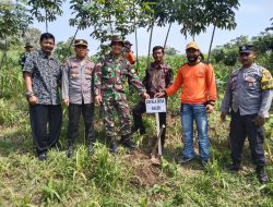 Danramil Tanam Pohon Sukun Serentak di Kawedanan: Wujud Peduli Lingkungan dan Ketahanan Pangan