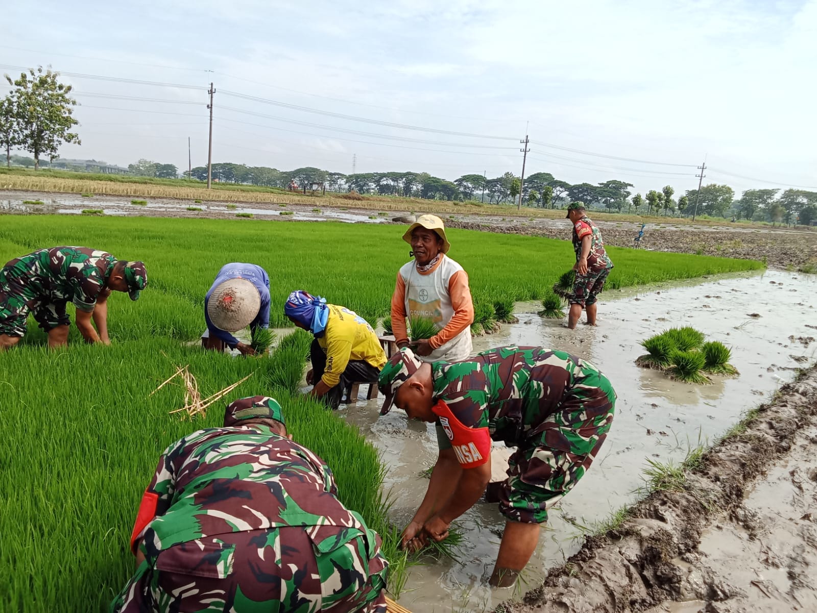Dengan Penuh Semangat  dan Tanpa Canggung  Babinsa Bantu Daud