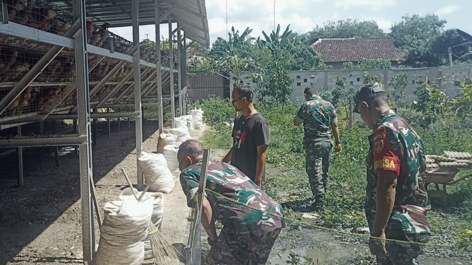 Babinsa Komsos Dengan Peternak Ayam Untuk Menjaga Kebersihan Kandang