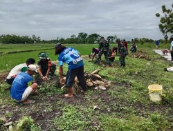 Penanaman Pohon Sukun Upaya Koramil Karangmalang  Mendukung Penghijauan