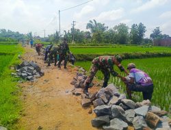 Gotong Royong Babinsa dan Warga Bangun Talud, Wujudkan Impian Sawah Subur