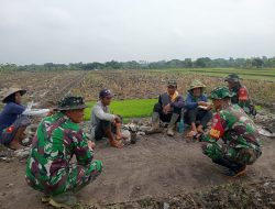 Di Pinggir Sawah, Babinsa Menjalin Komunikasi dan Solusi
