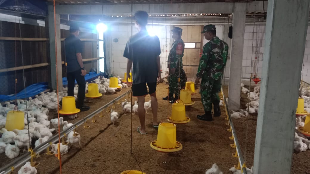 Yasin  Komsos Dengan Peternak Ayam Untuk Menjaga Kebersihan Kandang