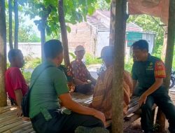 Intensitas Hujan dan Angin Kencang Tinggi, Babinsa Imbau Pengguna Jalan Waspada Pohon Tumbang