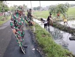 Gropyokan, Babinsa Bersama Petani Basmi Serangan Tikus