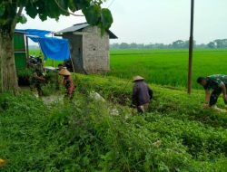 Babinsa Bersama Warga Bersihkan Saluran Irigasi