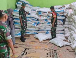 Kawal Penyaluran Pupuk Subsidi Untuk Poktan, Babinsa Lakukan Pengawasan Melekat