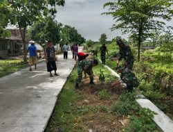 Babinsa Tanam Pohon Mangga dan Nangka, Cegah Erosi dan Tingkatkan Ketahanan Pangan