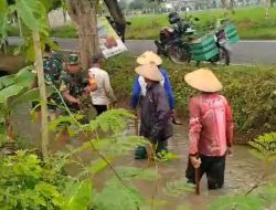 Babinsa Bersihkan Aliran Sungai Irigasi, Jaga Kelancaran Irigasi dan Cegah Banjir