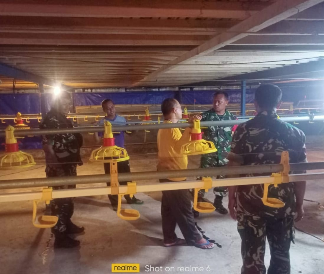 Babinsa Imbau Peternak Ayam Potong Tingkatkan Produktivitas