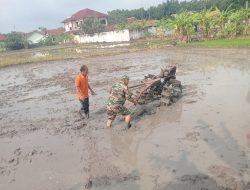 Percepat Masa Tanam, Babinsa Dampingi Petani Bantu Bajak Sawah  Dukuh Gandurejo Rt. 4/3 Kel. Gemolong, dikenal sebagai salah satu sentra produksi padi di daerah tersebut. Meskipun memiliki tanah yang subur, ketersediaan air yang terbatas menjadi tantangan tersendiri bagi para petani, di tengah tantangan tersebut, Serka S. Munawar dan dua anggota Koramil 15/Gemolong Kodim 0725/Sragen, hadir membantu petani membajak sawah, Jum’at (28/02/2025) Memasuki musim hujan, Serka Munawar menyatakan bahwa ini adalah waktu yang tepat bagi para petani untuk meningkatkan produktivitas mereka. Kehadirannya bersama anggota Koramil lainnya di sawah adalah bentuk dukungan terhadap program swasembada pangan yang dicanangkan pemerintah. “Karena sudah masuk musim hujan, kami turun ke sawah membantu petani demi menyukseskan program pemerintah yaitu swasembada pangan,” Kata Munawar. Munawar menambahkan bahwa sebagian besar lahan pertanian di Deukuh Gandurejo telah mulai diolah untuk ditanami padi. Dengan bantuan traktor, Babinsa bergantian dengan pemilik sawah untuk mempercepat proses pembajakan.   “Bantuan tenaga dari anggota Koramil ini merupakan wujud kepedulian terhadap masyarakat yang membutuhkan bantuan,” tandasnya. Pemilik sawah yang menerima bantuan mengaku sangat bersyukur atas kehadiran Babinsa. Dengan bantuan tersebut, proses pembajakan yang biasanya memakan waktu lama kini dapat diselesaikan hanya dalam setengah hari. “Saya menyampaikan terima kasih kepada Babinsa yang telah membantu petani, sehingga meringankan pekerjaan dan cepat selesai,” ungkap Sugeng salah satu petani.