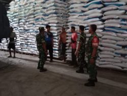 Sertu Budi Berujar, Stok Pupuk Di Wilayahnya Aman Sertu Budi Berujar, Stok Pupuk Di Wilayahnya Aman