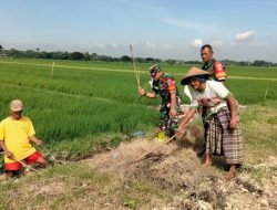 Gropyokan, Alternatif Basmi Hama Tikus Tanpa Listrik