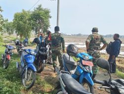 Dukung Ketahanan Pangan, Babinsa Jalin Komsos dengan Petani Dukung Ketahanan Pangan, Babinsa Jalin Komsos dengan Petani