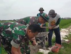 Bantu Para Petani, Babinsa Kerja Bakti Bangun Talud Bantu Para Petani, Babinsa Kerja Bakti Bangun Talud