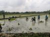 Meski Berpuasa Serka Slamet Bantu Petani Tanam Padi