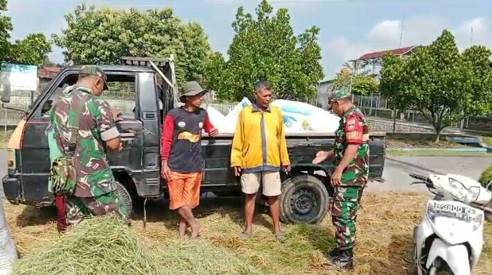 Babinsa Guworejo Dorong Petani Jual Gabah Ke Bulog