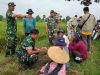 Babinsa Berbagi Ilmu Dengan Petani di Pinggir Sawah
