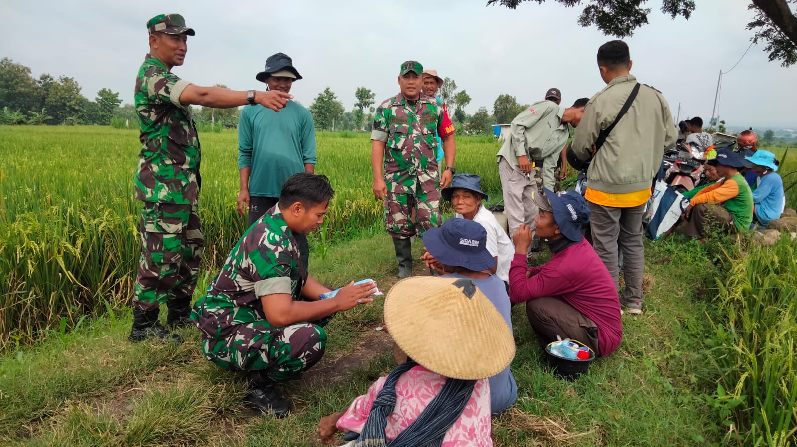 Babinsa Berbagi Ilmu Dengan Petani di Pinggir Sawah