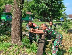 Babinsa Bersama Warga Gotong Royong Pangkas Pohon Besar di Pinggir Jalan, Keamanan dan Kenyamanan Jalan Terjaga Babinsa Bersama Warga Gotong Royong Pangkas Pohon Besar di Pinggir Jalan, Keamanan dan Kenyamanan Jalan Terjaga