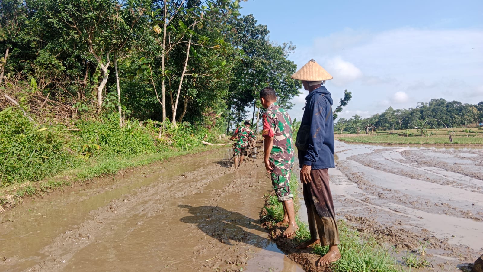 Babinsa Membajak Sawah:  TNI Bersama Petani Wujudkan Ketahanan Pangan