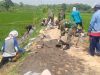 Dukung Pertanian, Babinsa Masaran Bangun Talud Jalan Sawah