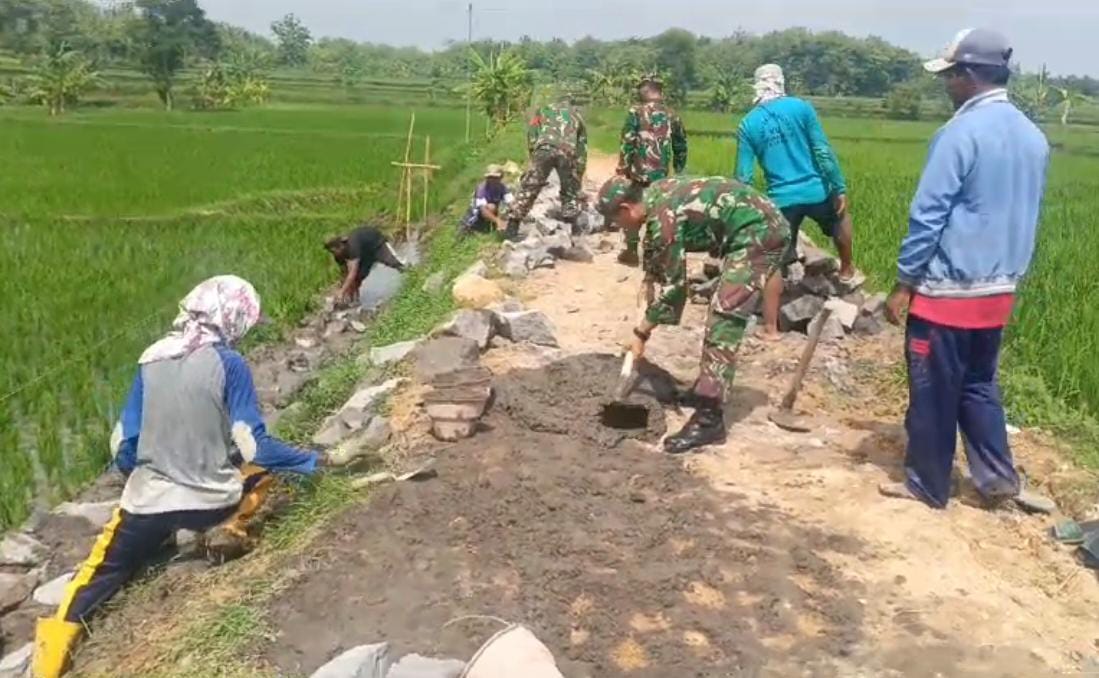 Dukung Pertanian, Babinsa Masaran Bangun Talud Jalan Sawah