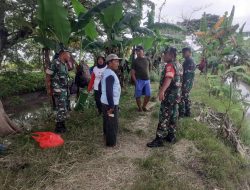 Babinsa Berdialog dengan Kelompok Tani, Panen Raya Padi di Desa Kebonromo Berhasil Babinsa Berdialog dengan Kelompok Tani, Panen Raya Padi di Desa Kebonromo Berhasil