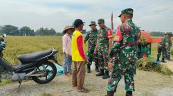 Babinsa Menjadi Jembatan Komunikasi Antara Petani dan Pemerintah