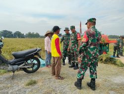 Babinsa Menjadi Jembatan Komunikasi Antara Petani dan Pemerintah Babinsa Menjadi Jembatan Komunikasi Antara Petani dan Pemerintah