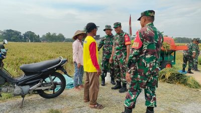 Babinsa Menjadi Jembatan Komunikasi Antara Petani dan Pemerintah