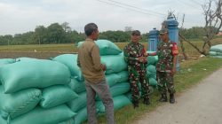 Babinsa Komsos dengan Petani, Tanyakan Harga Gabah dan Kondisi Pertanian