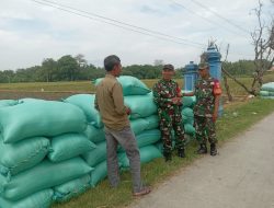 Babinsa Komsos dengan Petani, Tanyakan Harga Gabah dan Kondisi Pertanian Babinsa Komsos dengan Petani, Tanyakan Harga Gabah dan Kondisi Pertanian