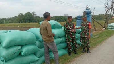 Babinsa Komsos dengan Petani, Tanyakan Harga Gabah dan Kondisi Pertanian