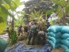 Babinsa Panen Raya Bareng Petani, Tumbuhkan Semangat Gotong Royong