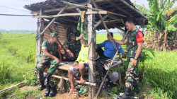 Babinsa Sukses Kumpulkan Data Panen Raya Lewat Komsos Aktif dengan Petani