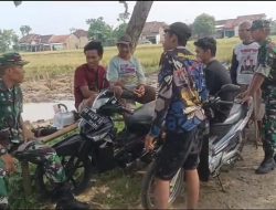 Babinsa dan Petani Berkomunikasi, Bahas Hasil Panen dan Tantangan Kedepan Babinsa dan Petani Berkomunikasi, Bahas Hasil Panen dan Tantangan Kedepan