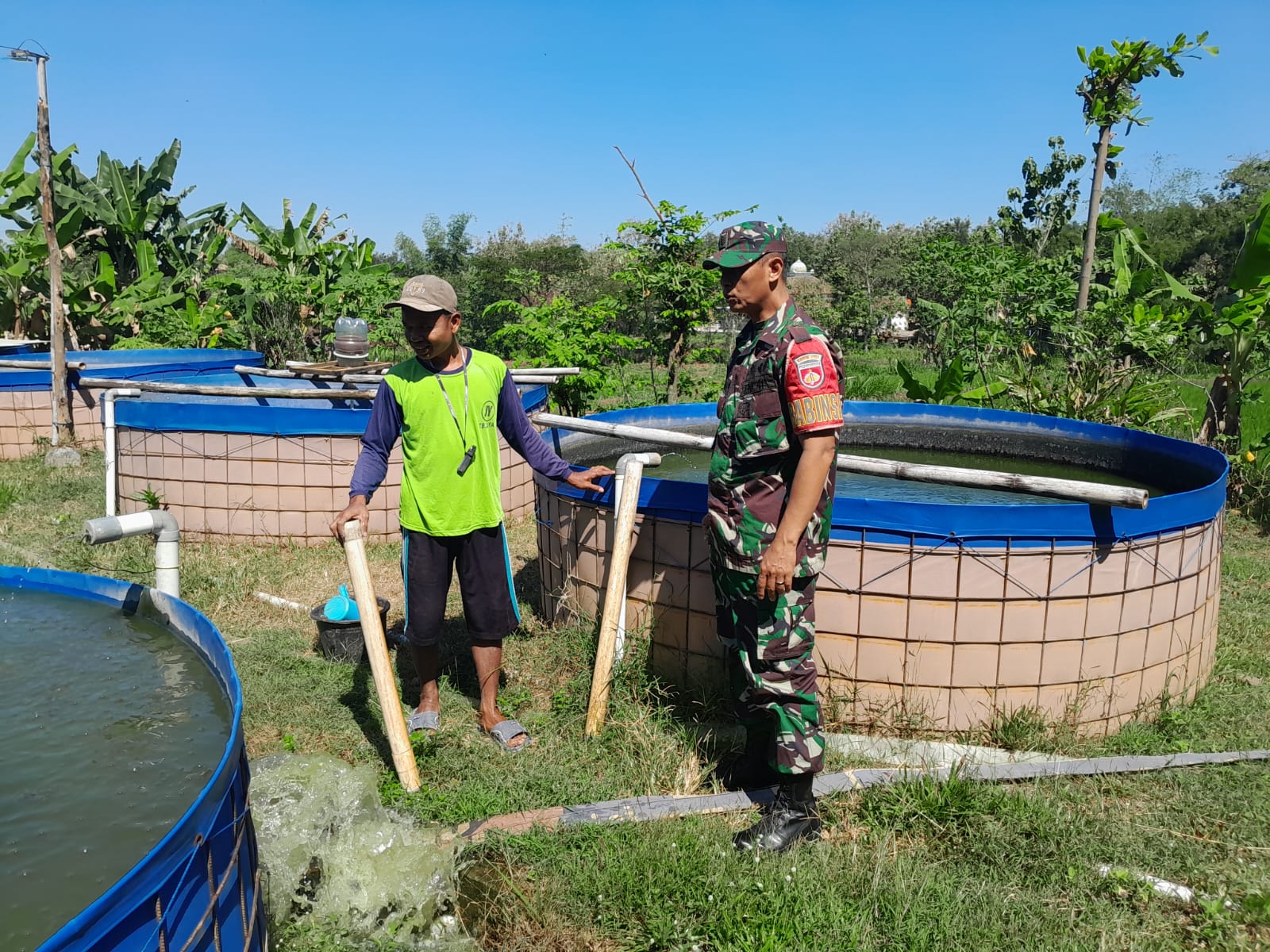 Babinsa Berikan Pendampingan Budidaya Kolam Ikan Lele di Desa Tegaldowo