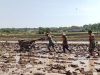 Babinsa Bantu Petani Bajak Sawah dengan Traktor, Tingkatkan Produktivitas Pertanian